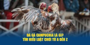 đá gà Campuchia