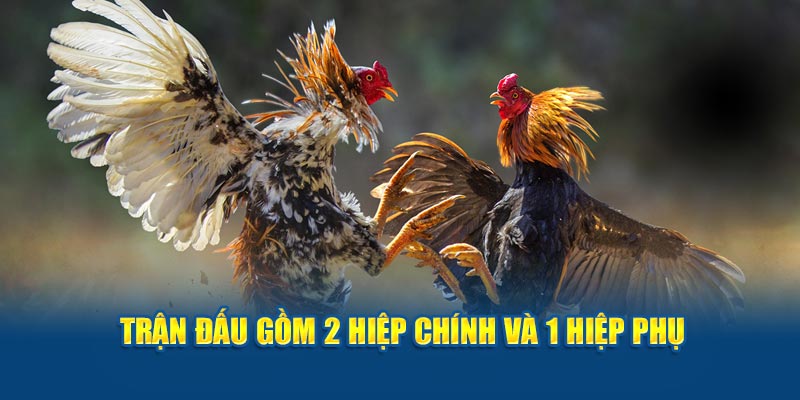 Trận đấu gồm 2 hiệp chính và 1 hiệp phụ